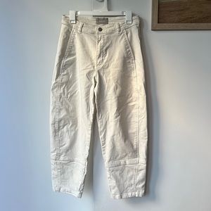 Everlane Barrel Pants